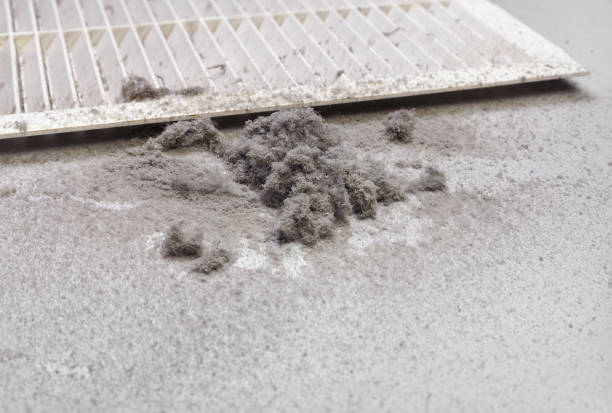Best HVAC System Cleaning  in Talluh, LA